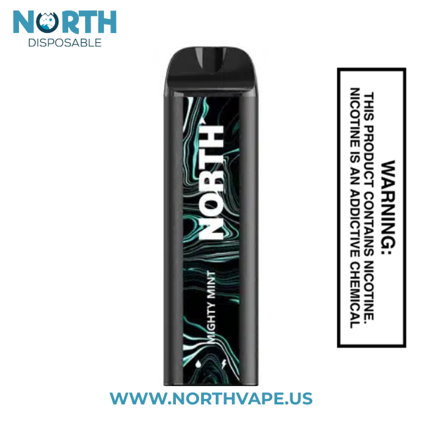 Mighty Mint North 5000 Puffs Disposable Vape
