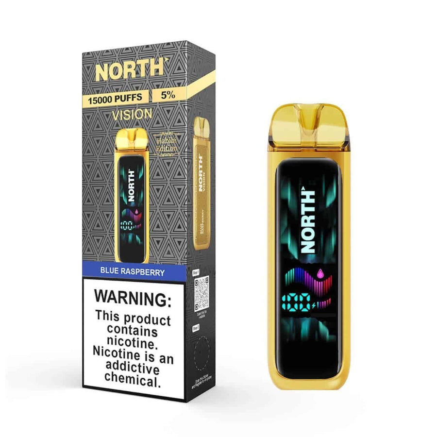 Blue Raspberry North Vision 15K Puffs Disposable Vape