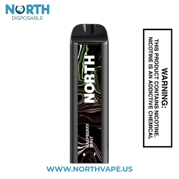 Raspberry Mint North 5000 Puffs Disposable Vape