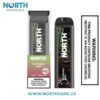 Raspberry Mint North 5000 Puffs Disposable Vape