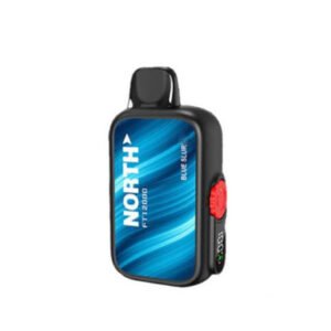 Blue Slur North FT12000 Disposable Vape