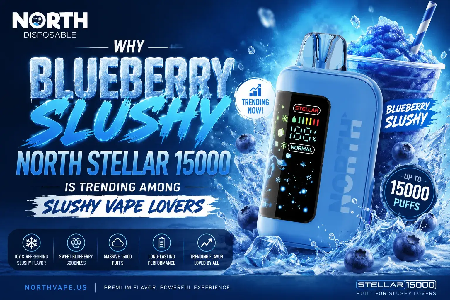 Blueberry Slushy North Stellar