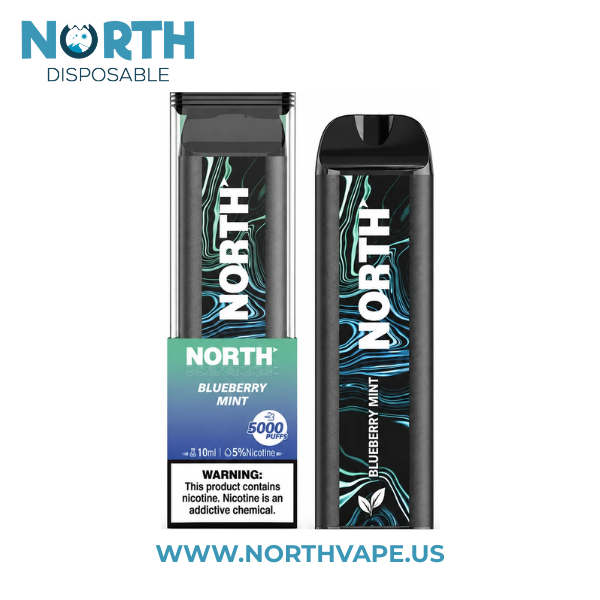 Blueberry Mint North 5000 Puffs Disposable Vape -10mL 2 Blueberry Mint North 5000 Puffs Disposable Vape -10mL