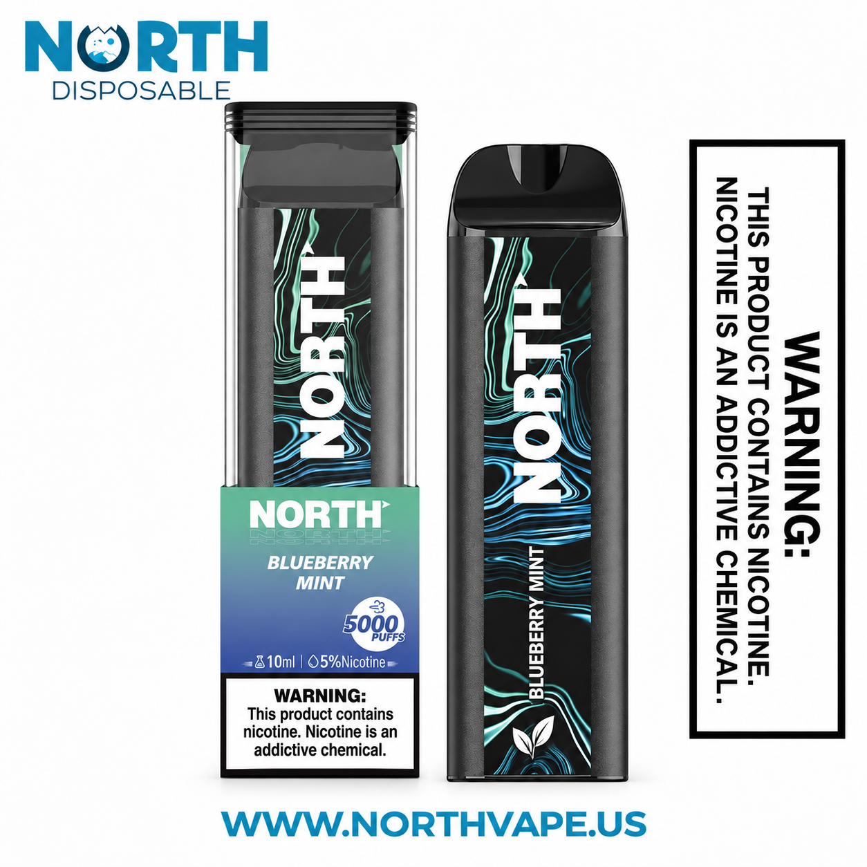 Blueberry Mint North 5000 Puffs Disposable Vape -10mL 1 Blueberry Mint North 5000