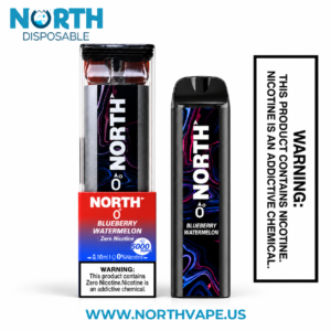 Blueberry Watermelon North 5000 Puffs Zero Nicotine