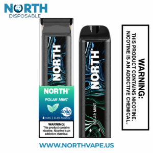 Polar Mint North 5000 Puffs Disposable Vape